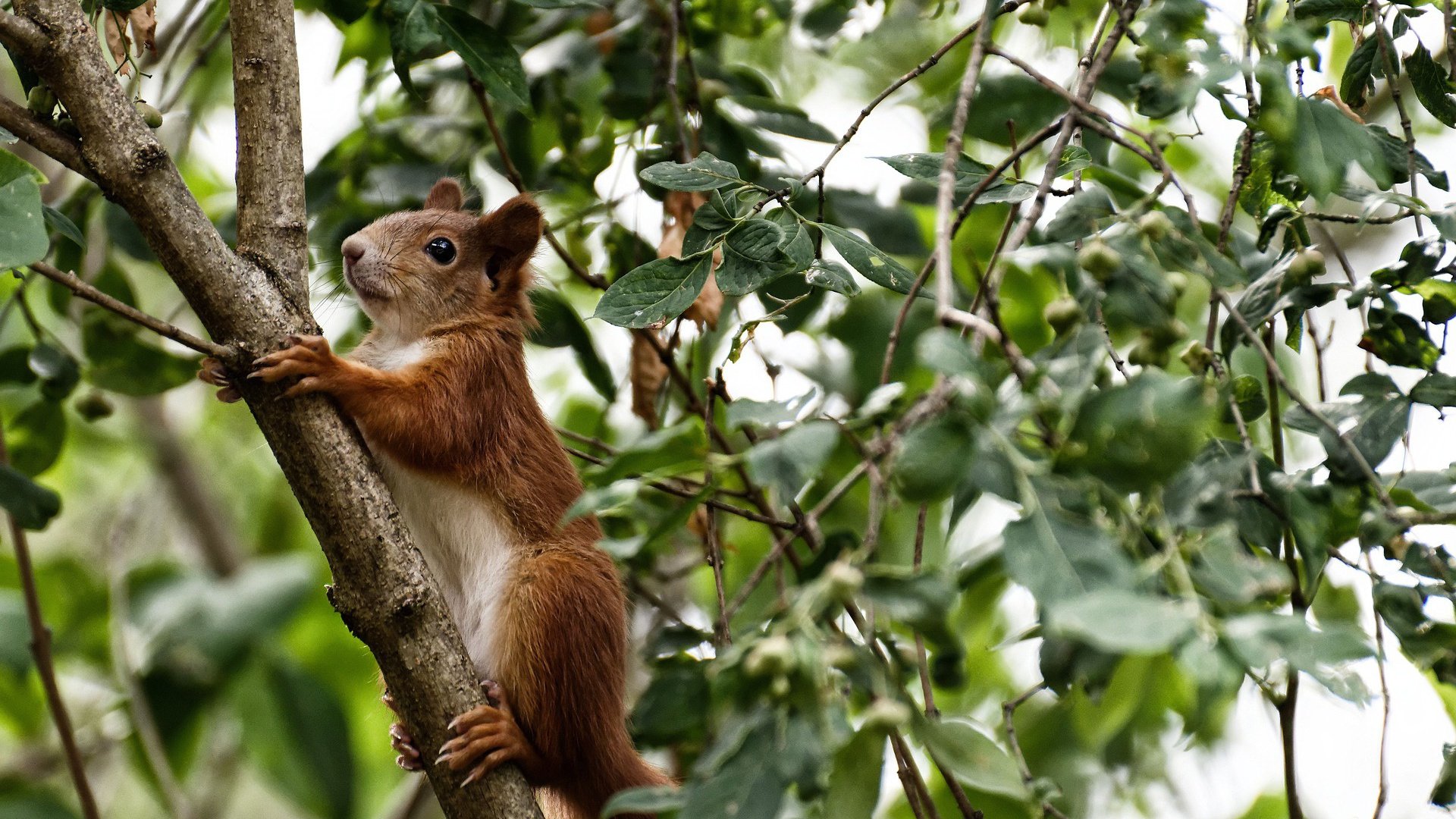 开云真人-_场馆升级：更宽敞、更智能的比赛环境_，竞赛场馆运行分区有哪些